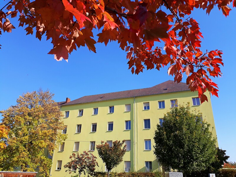 Marienschwestern Vorau