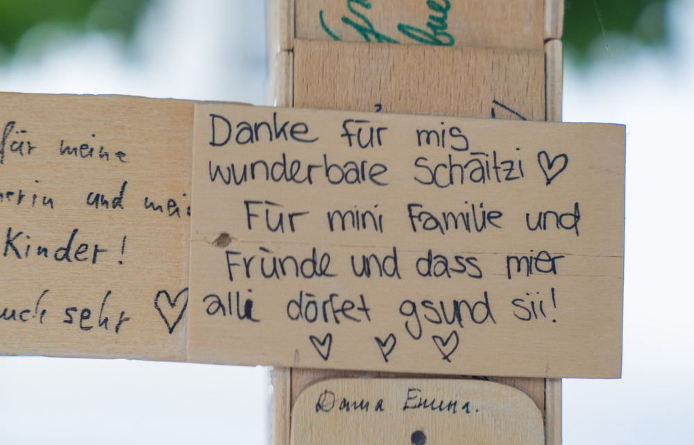 Dankebaum