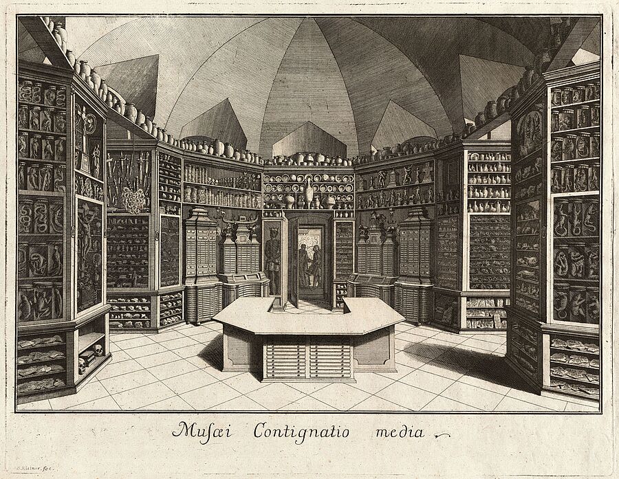 Das Göttweiger Naturalien- und Kunstkabinett, Kupferstich 1744.