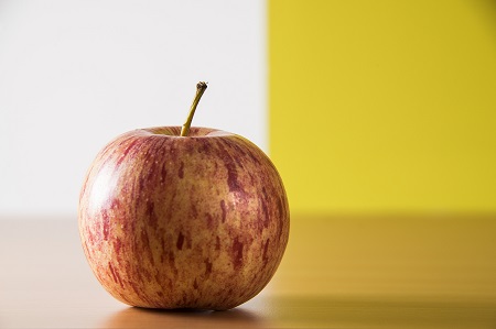 Foto Fleischmann, NIK FLEISCHMANN