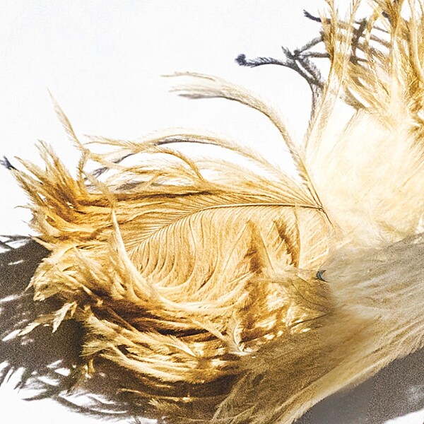 Verbundenheit & Dank