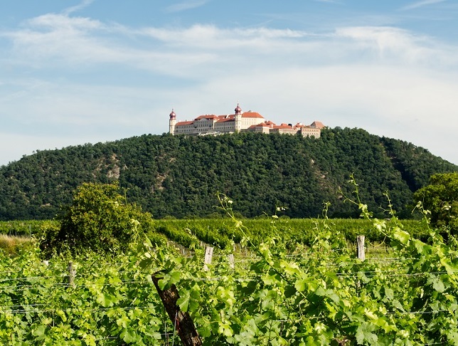 Weinbauregion Furth-Göttweig