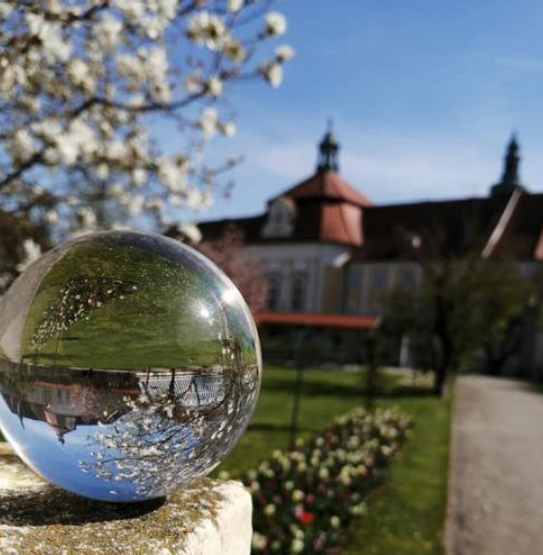 Mostbaumblüte Stift Seitenstetten
