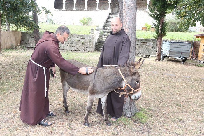 foto judt
wr.neustadt, kapuziner kloster,