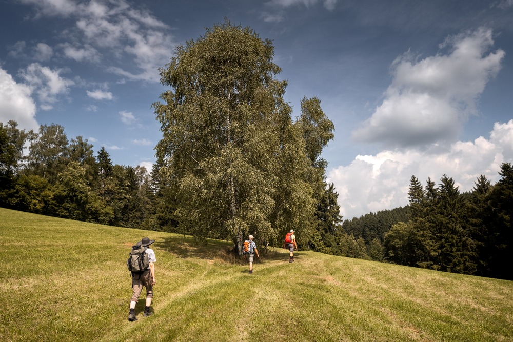 Martin Sighart Wilheringer Pilgerweg