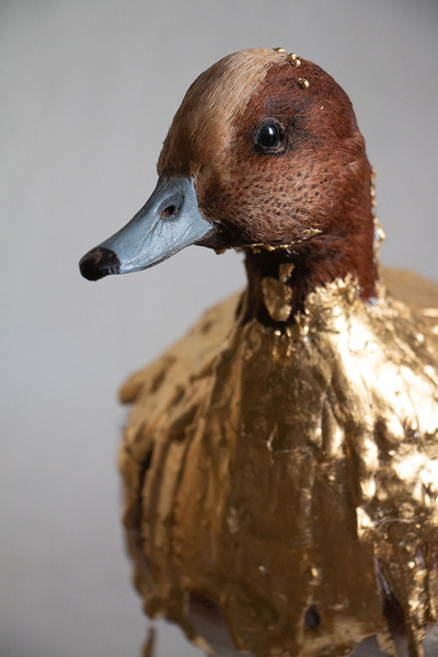 Ausstellung von Elias Franziskus Grüner