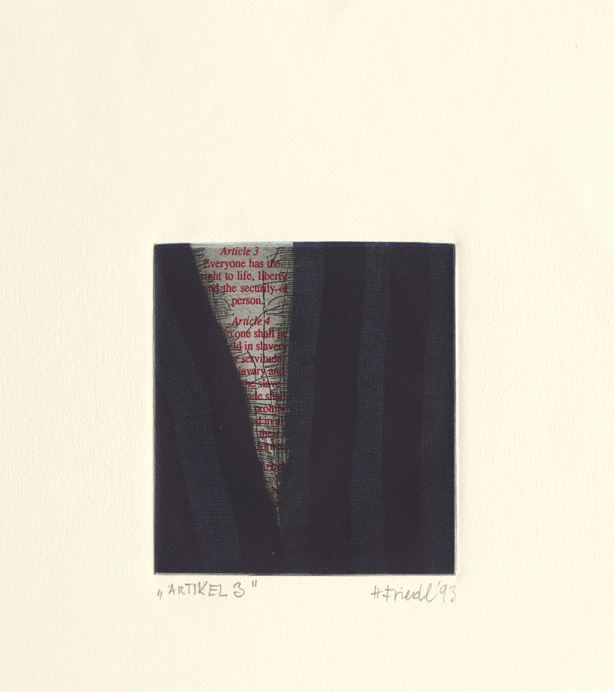 Herbert Friedl, Menschenrechtsverletzung, 1998 