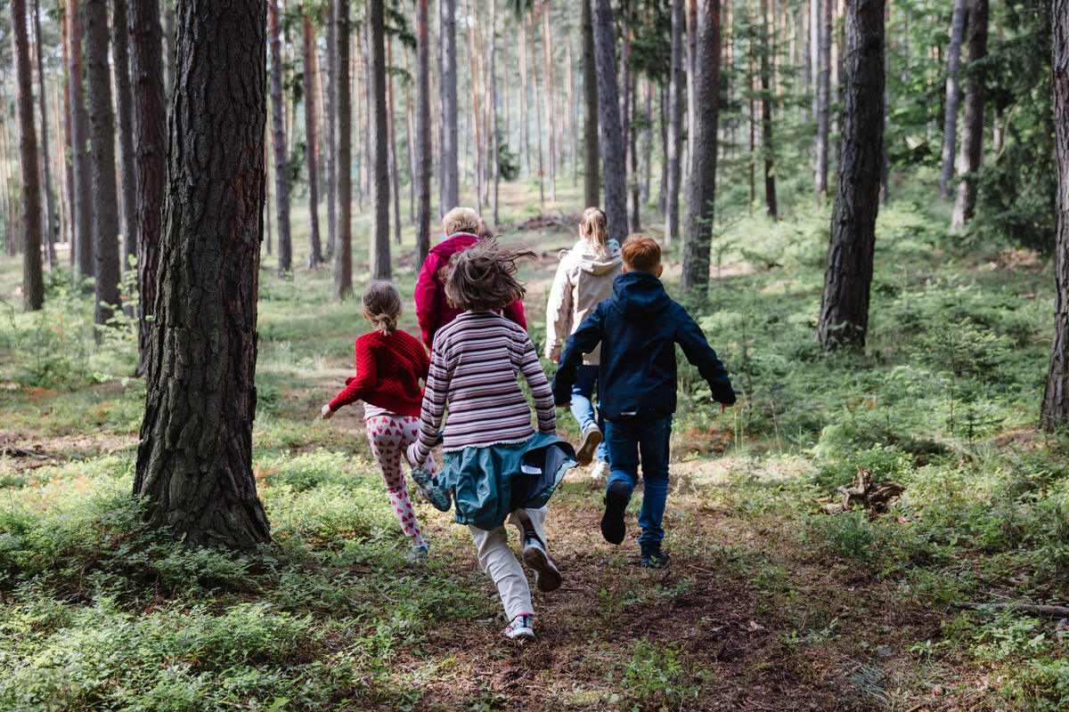 Heilwald Göttweig / Alexander Pfeffel Kinder im Heilwald Göttweig