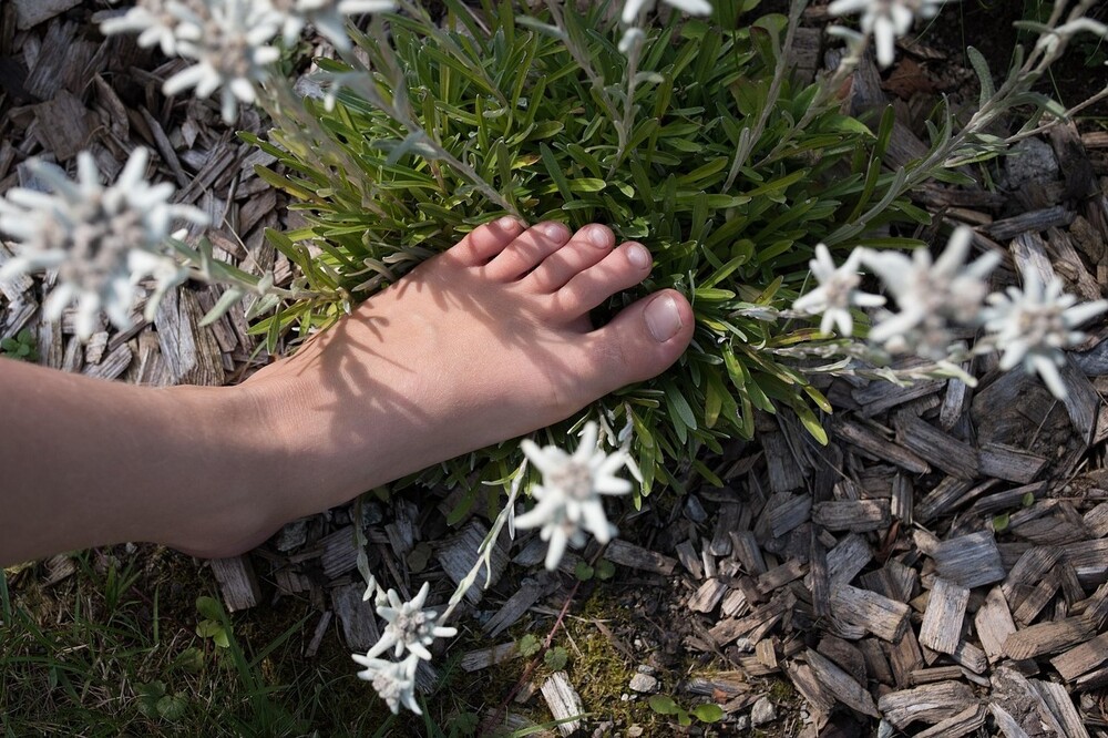 Barfußweg / Pixabay (Petra) Barfußweg