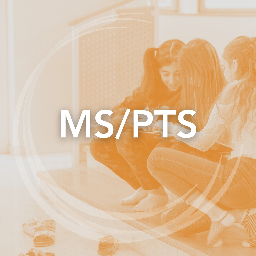 Platzhalterbild MS/PTS-Symposium