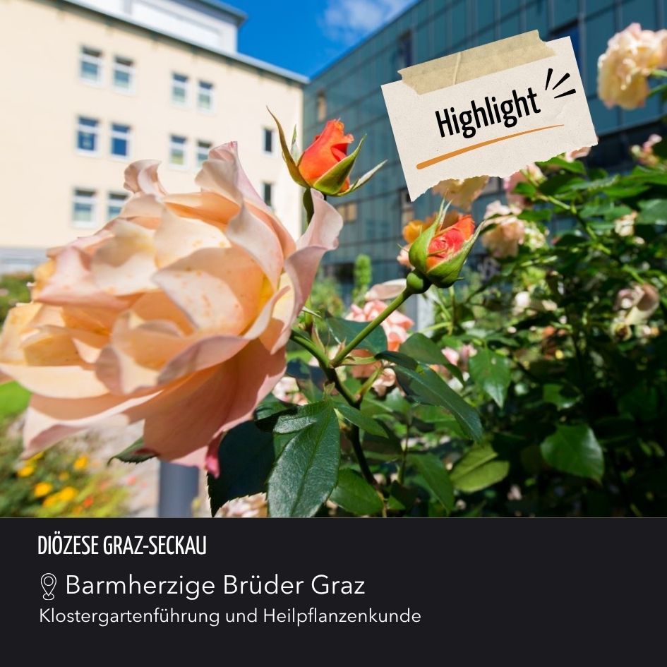 BB Graz