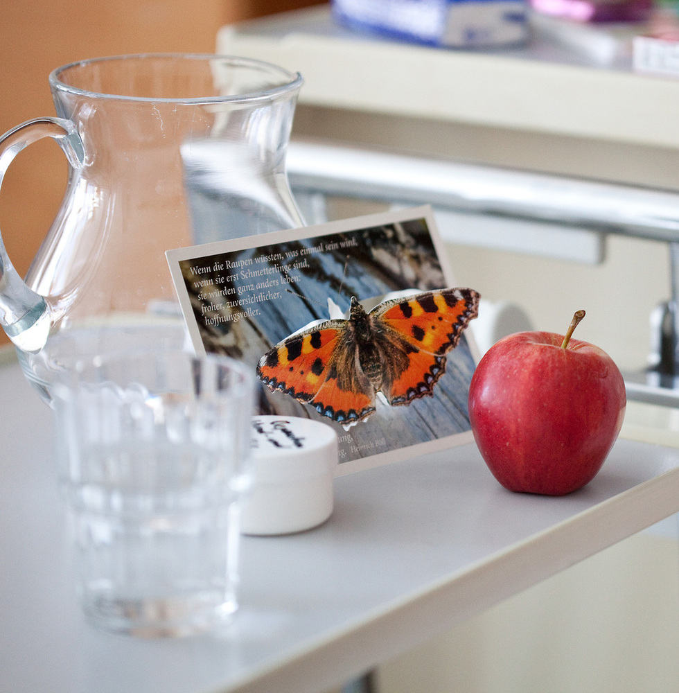 Das Bild zeigt einen kleinen Tisch mit einem Glas Wasser, einem Apfel und einer Karte mit einem Schmetterling