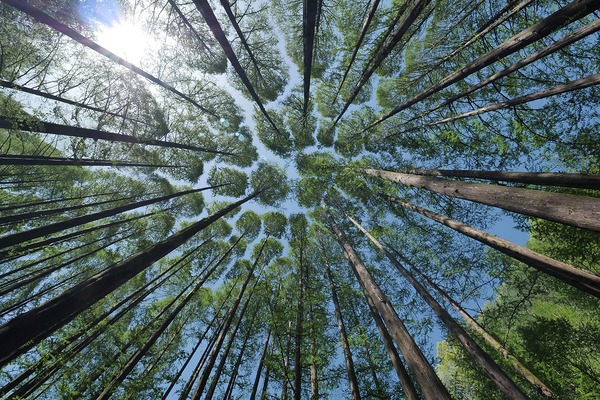 Spiritueller Naturerlebnistag