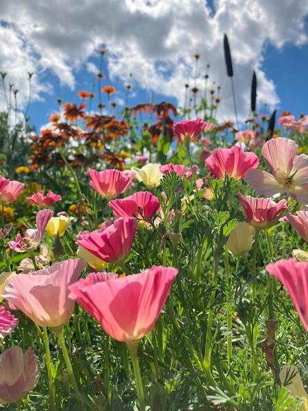 Einkehrtage im Stift Lilienfeld