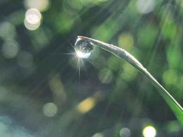 Lichtblick im Alltag