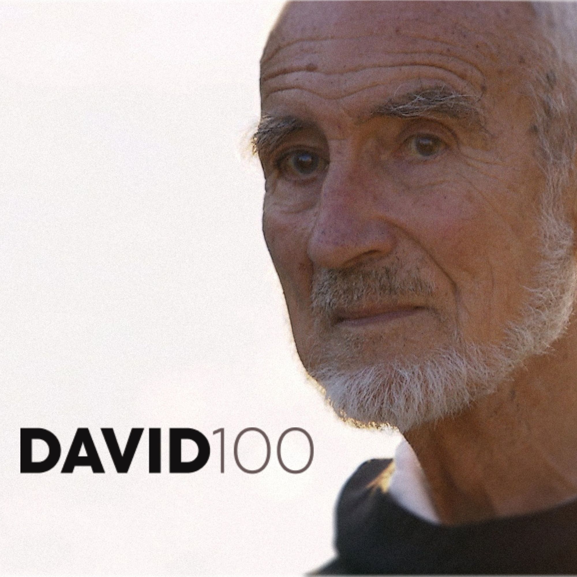 Ausstellung DAVID100