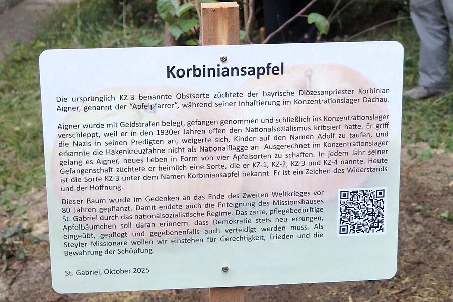 Auf einer Tafel können Besucher:innen Informationen über den Apfelbaum nachlesen.