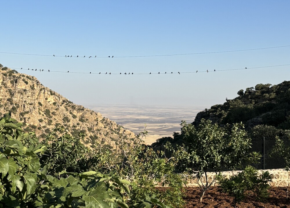 Vom Kloster Mor Yakub d-Qarno sieht man in die syrische Tiefebene.